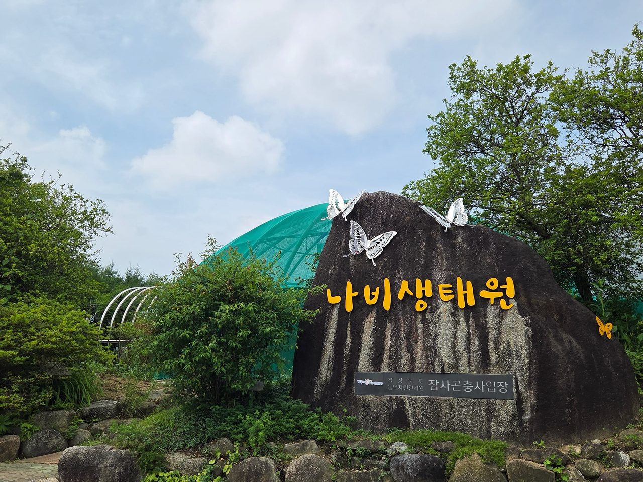 나비 1,000마리 풀어놓는다… 상주 잠사곤충사업장 나비생태원, 곤충의 날 맞아 9월 5~7일 특별 개장