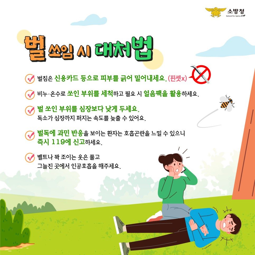 경북 벌초철 벌쏘임 사고 절반이 8~9월…예초기 사고도 집중